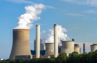 Picture 1-Aug-05-2025-08-13-53-8322-AM