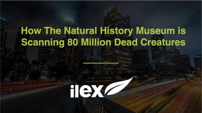 How The Natural History Museum is Scanning 80 Million Dead Creatures