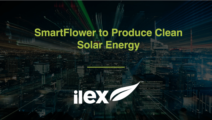 SmartFlower to Produce Clean Solar Energy
