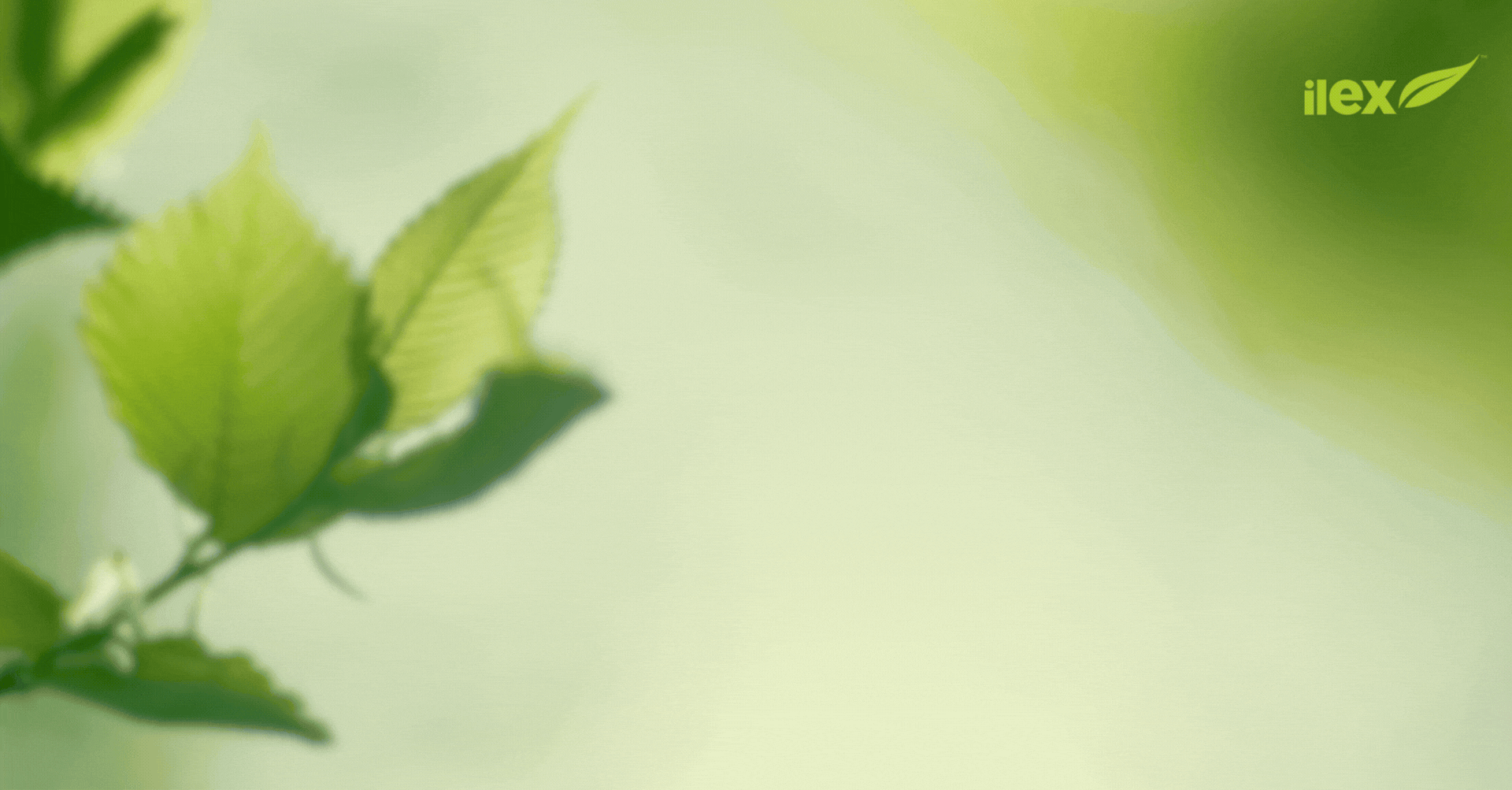 Celebrating National Apprenticeship Week 2026