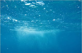 image-jpeg-Jul-17-2025-08-57-29-0945-AM