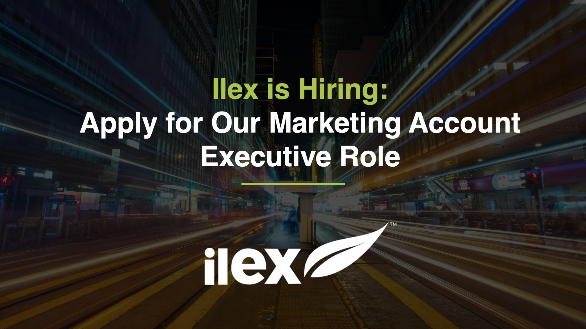 Ilex is Hiring: Apply for Our Marketing Account Executive Role
